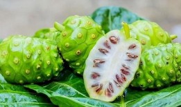 黑料社 朝阳吃瓜51cg,揭秘黑料社与吃瓜51cg背后的故事