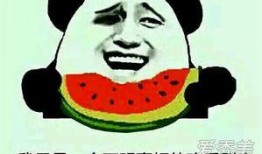 朝阳吃瓜群众什么意思